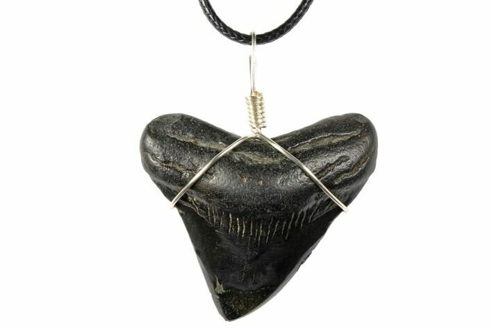 Fossil Megalodon Tooth Necklace #130945